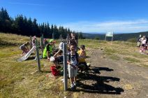 img-20250904-wa0017.jpg