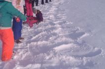 IMG_20190312_162722.jpg