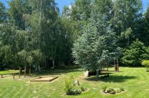 img-20260608-wa0000.jpg