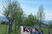 IMG-20260505-WA0067.jpg