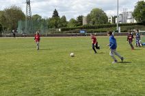 img-0251.JPG